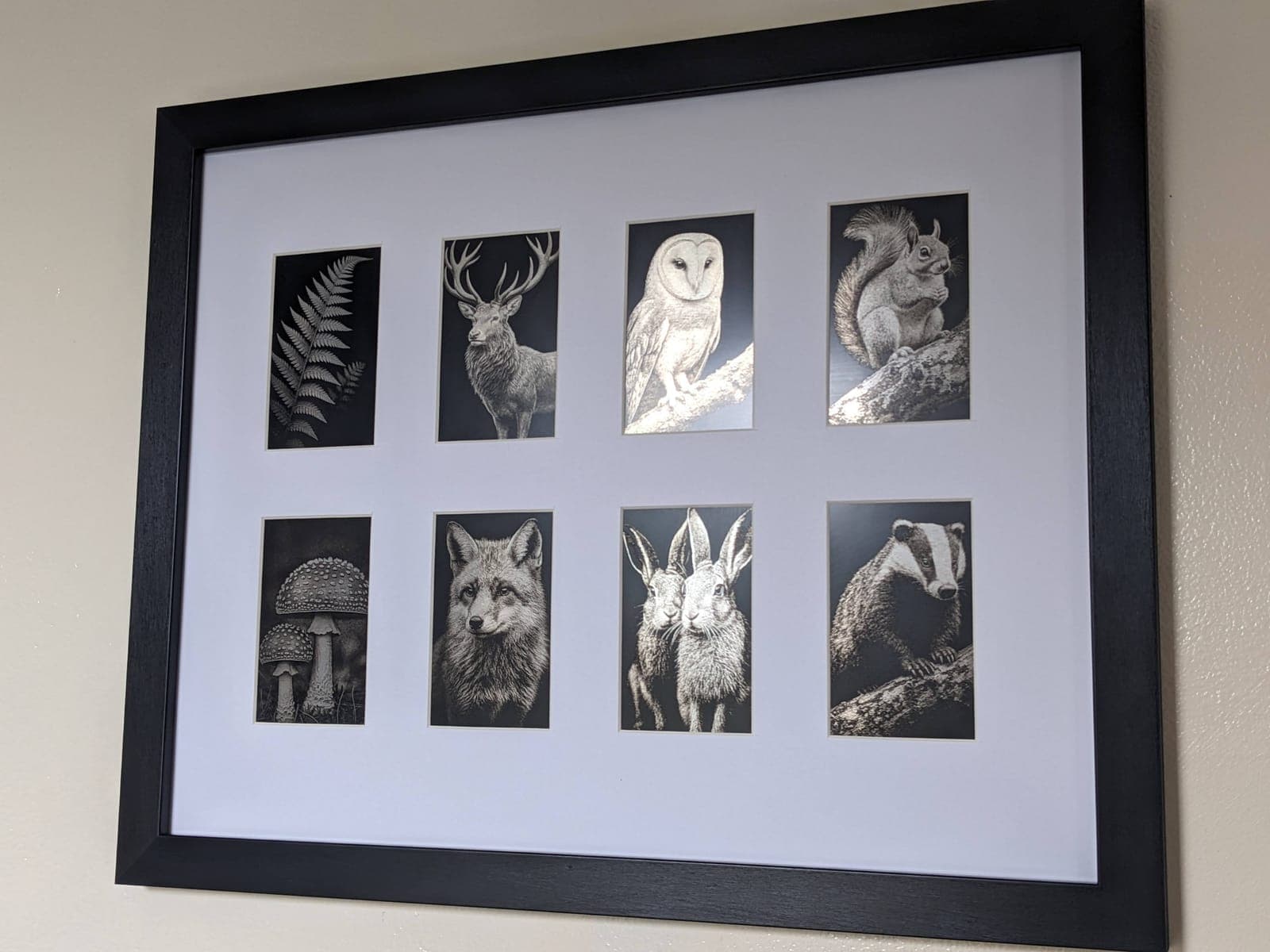 Eight small woodland engravings in one frame, including a stag, owl, squirrel, fox, hares and a badger