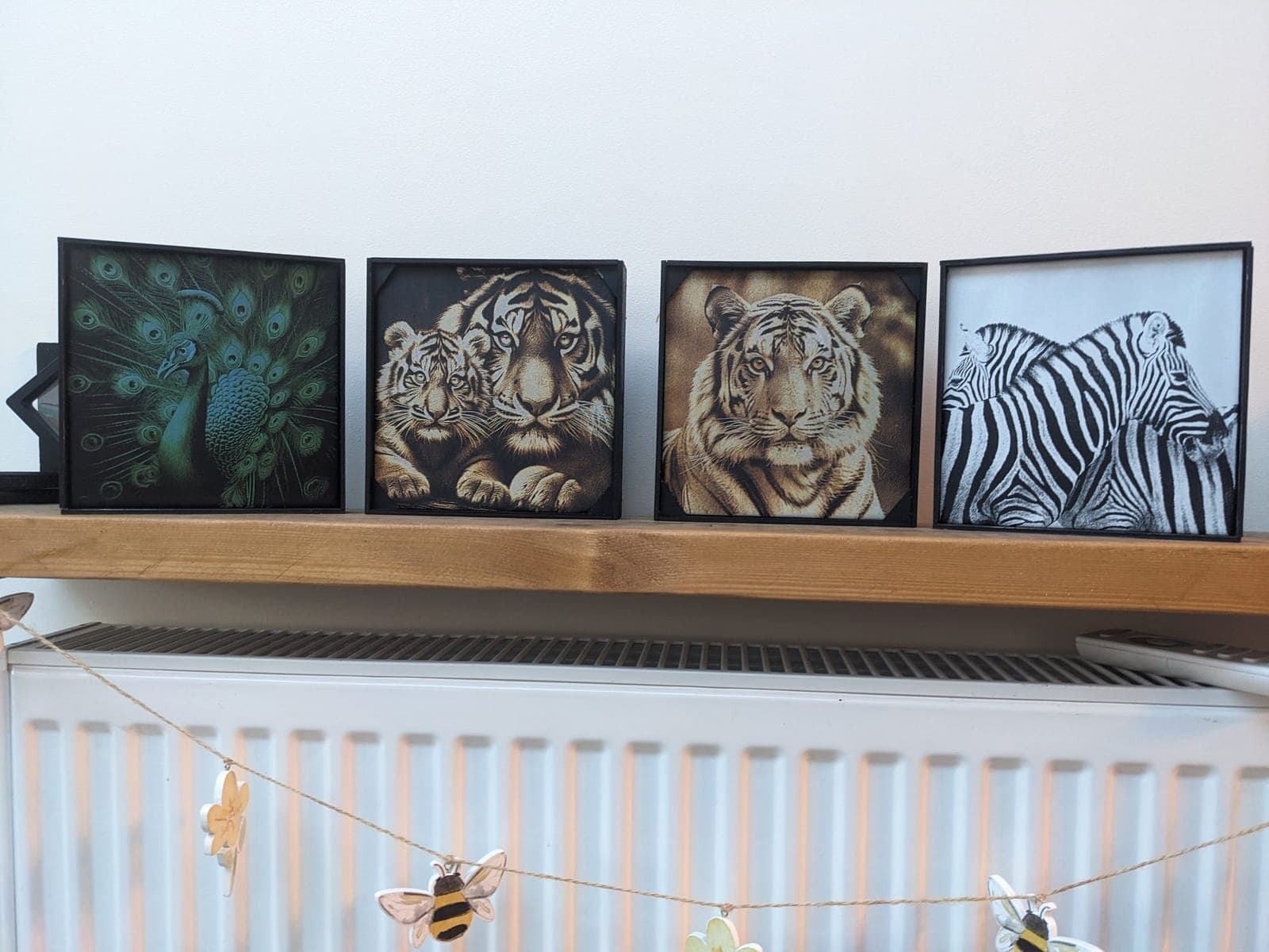 Four framed tiles on a shelf: a peacock, tigers, a tiger and zebras