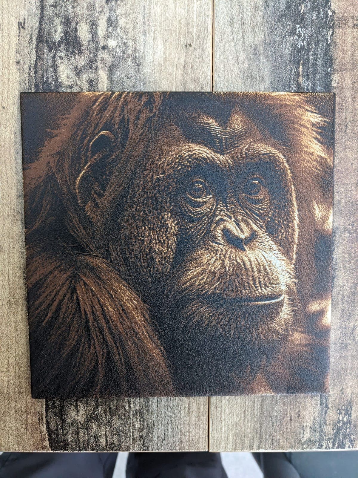 A close-up of an orangutan's face, in rich brown tones