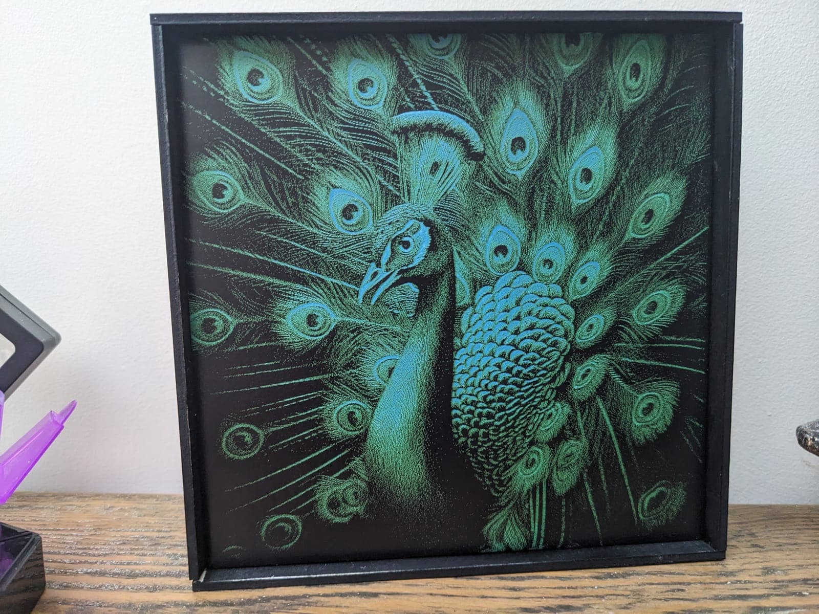 A green and blue peacock with its tail fanned out, in a black frame