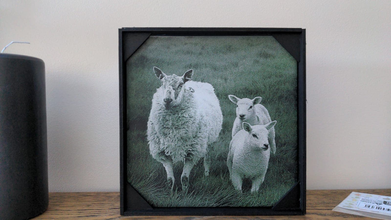 A ewe and two lambs in a field, in a black frame