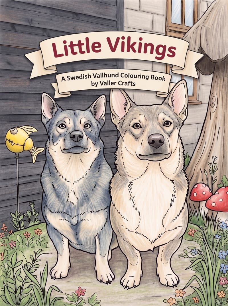 Front cover of Little Vikings