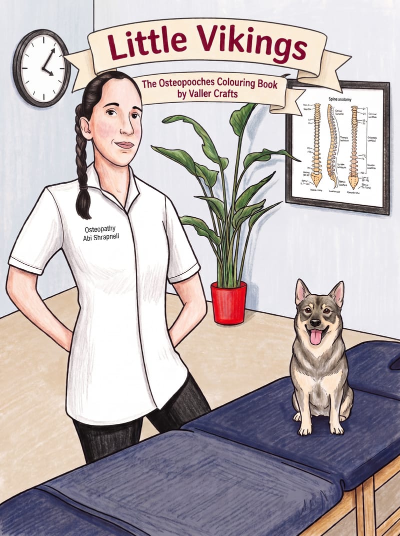 Front cover of Little Vikings: The Osteopooches